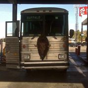 Easier to spot your bus to the Dakotas